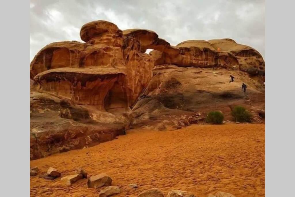 Bedouin Nature Travels وادي موسى المظهر الخارجي الصورة
